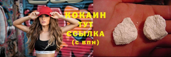 прущие грибы Нягань