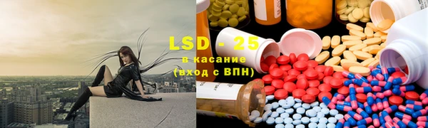 прущие грибы Нягань