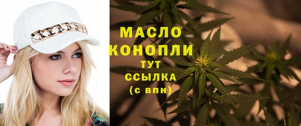 мдпв Осташков