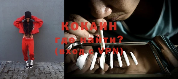 прущие грибы Нягань