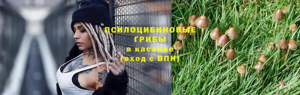 мдпв Осташков