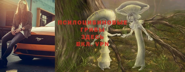 мдпв Нязепетровск