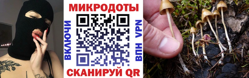 Псилоцибиновые грибы прущие грибы  Алексин 