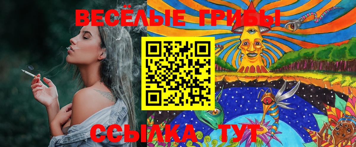 Псилоцибиновые грибы ЛСД Алексин