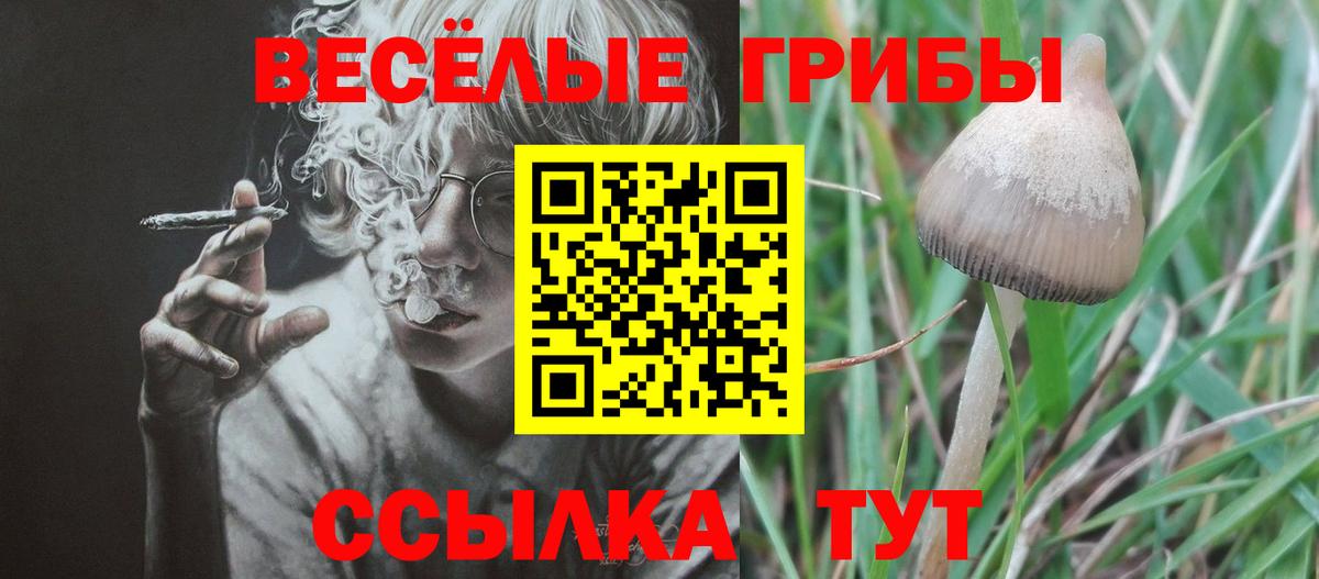 Псилоцибиновые грибы GOLDEN TEACHER Алексин
