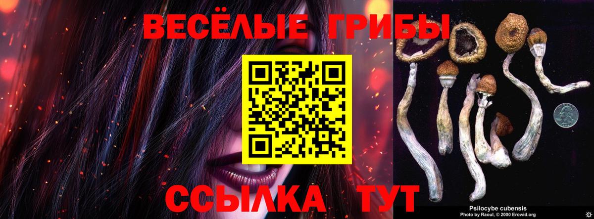 Галлюциногенные грибы Psilocybine cubensis Алексин