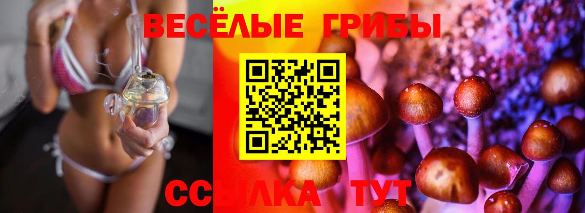Псилоцибиновые грибы Magic Shrooms  Галлюциногенные грибы ЛСД  Алексин  Вход с VPN 
